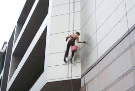 Kaj lahko stori čistilka na domu?