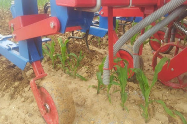 Optimalna podlaga za rast koruze