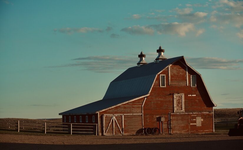 Rešetke za govedo so primerne za hleve in pašnike