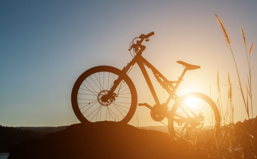 Spoznaj vrhunske kolesarske znamke!